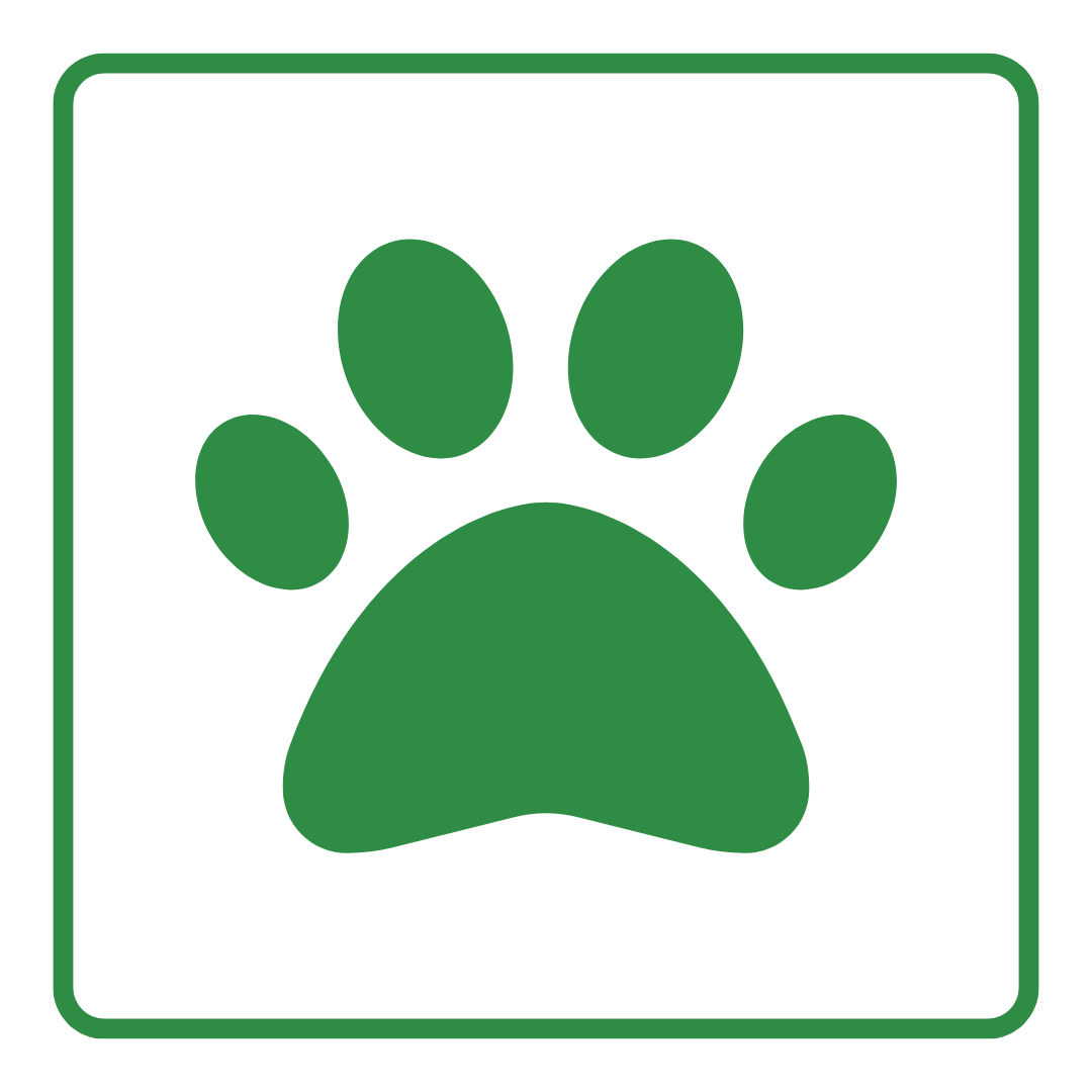Animal Tracks Icon
