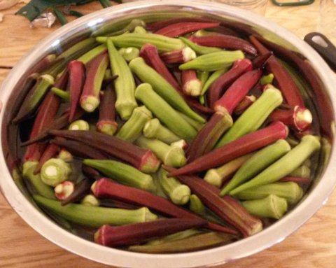 photo of okra