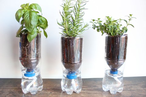 An image of three assembled self-watering pots filled with plants.