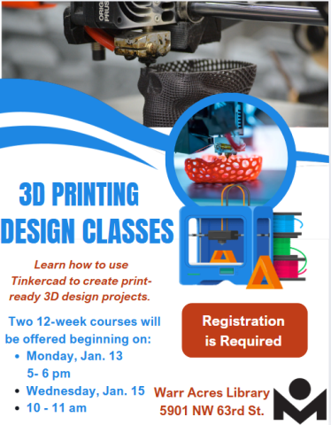 3D Flyer