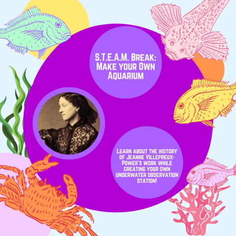 Text Reads: S.T.E.A.M. Break: Make your Own Aquarium: Learn about the history of Jeanne Villepreux-Power’s work while creating your own underwater observation station!