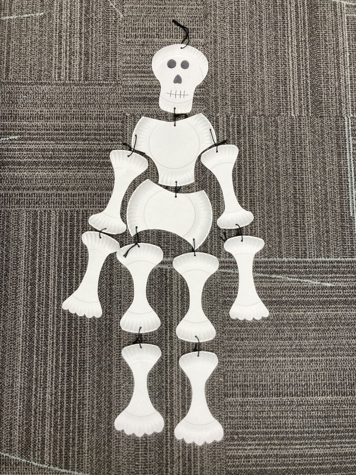 Photo of paper plate skeleton