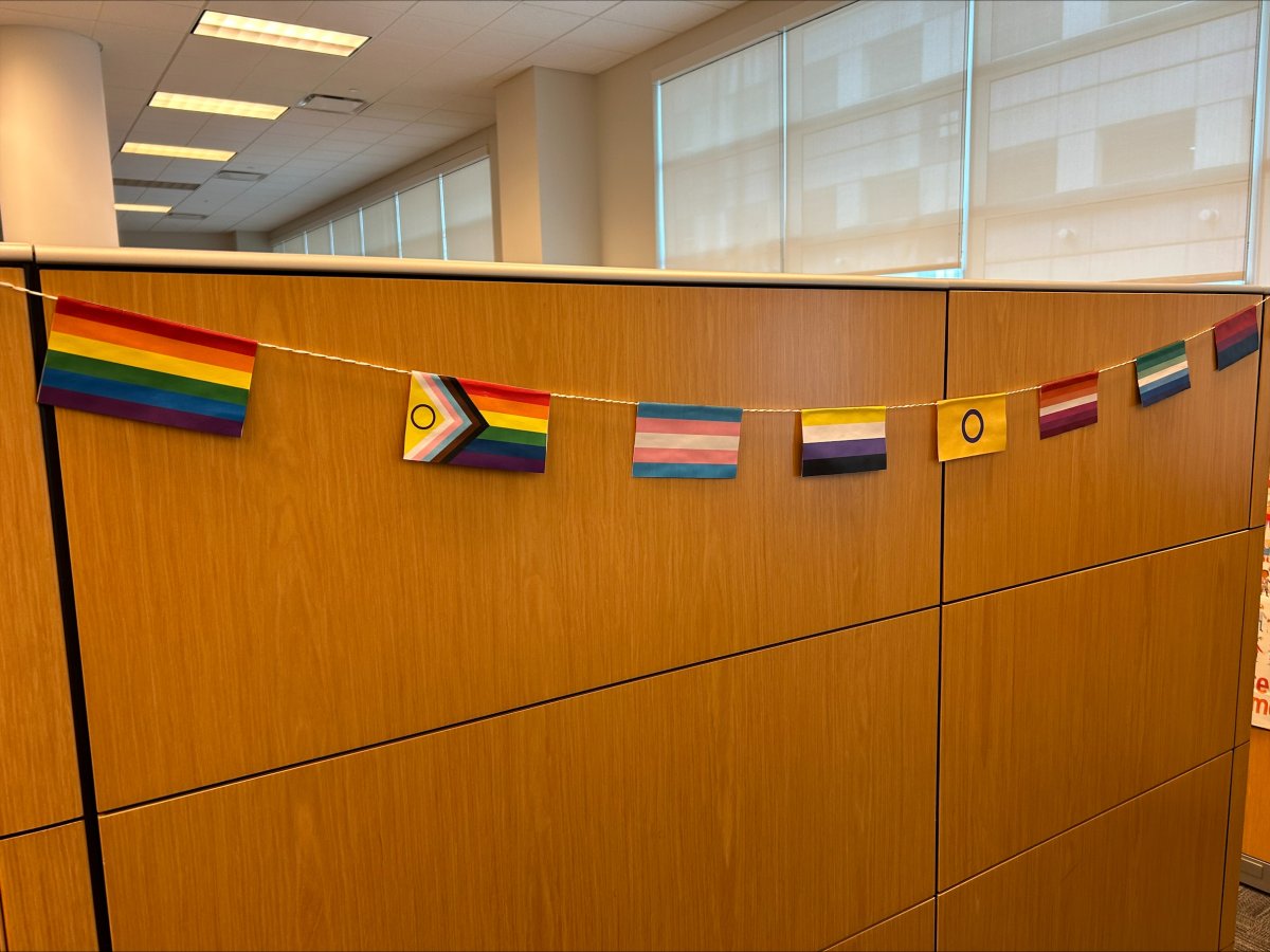 Pride Flag Garland