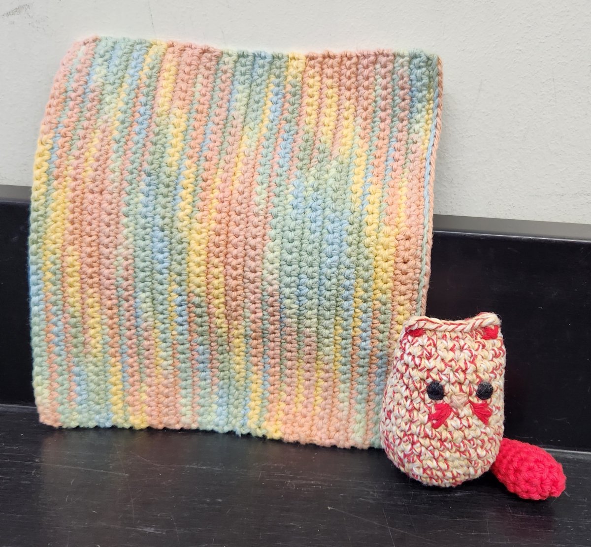 Crocheted Cat and Pot Holder